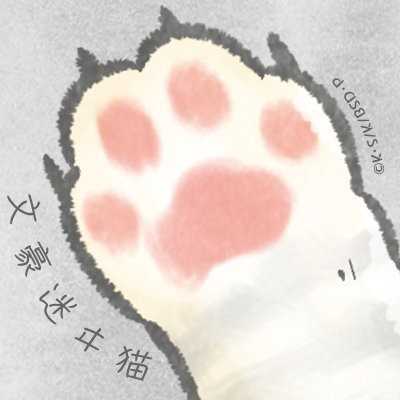 《文豪野犬》“猫之日”合集插图13